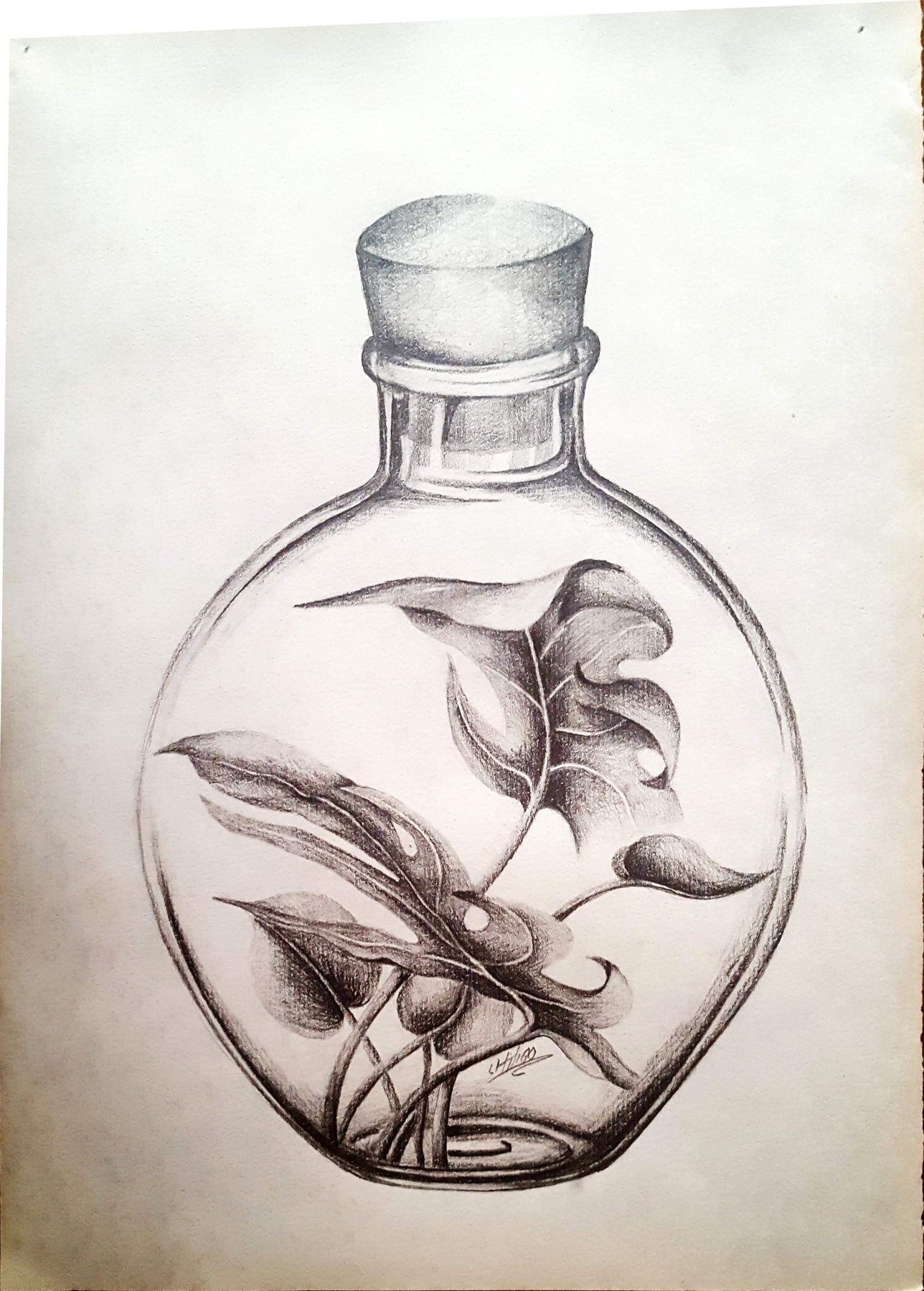 Botanical terrarium illustration