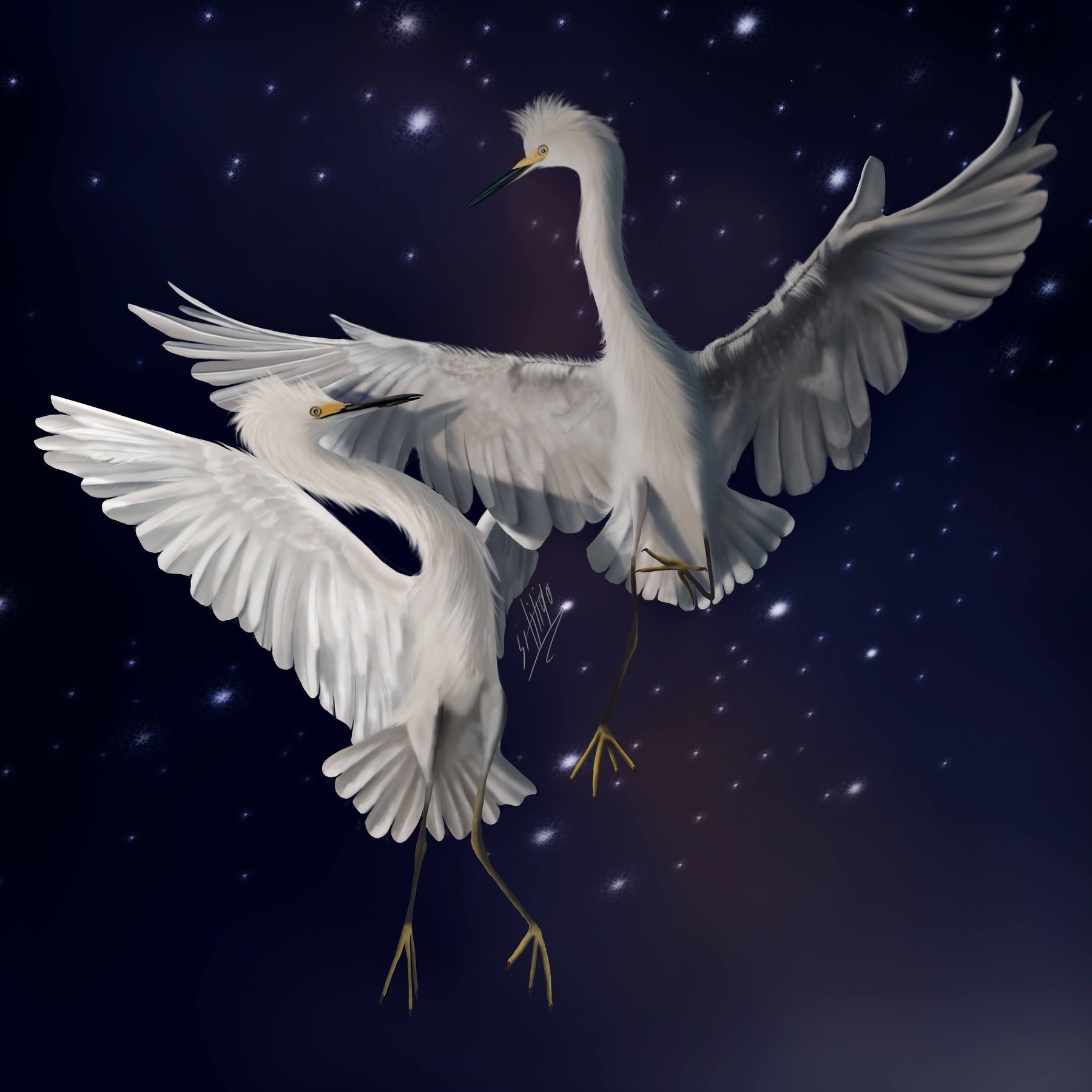 Digital composition of a white swan in flight