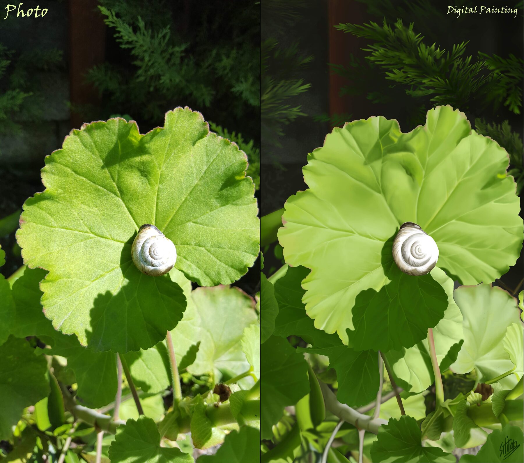 Photo reference and finished digital leaf painting shown side by side
