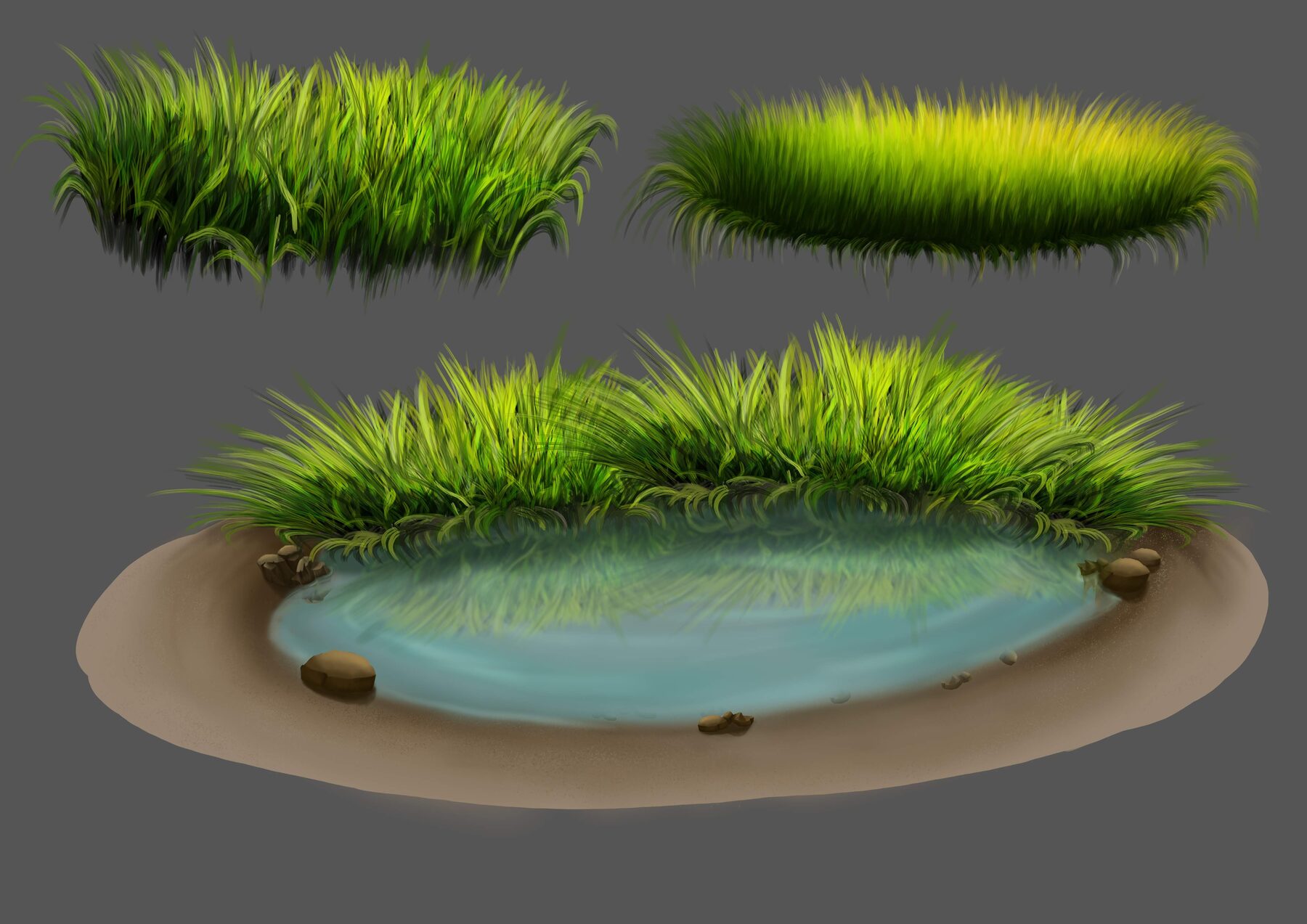 Digital grass, pond, and landscape asset studies