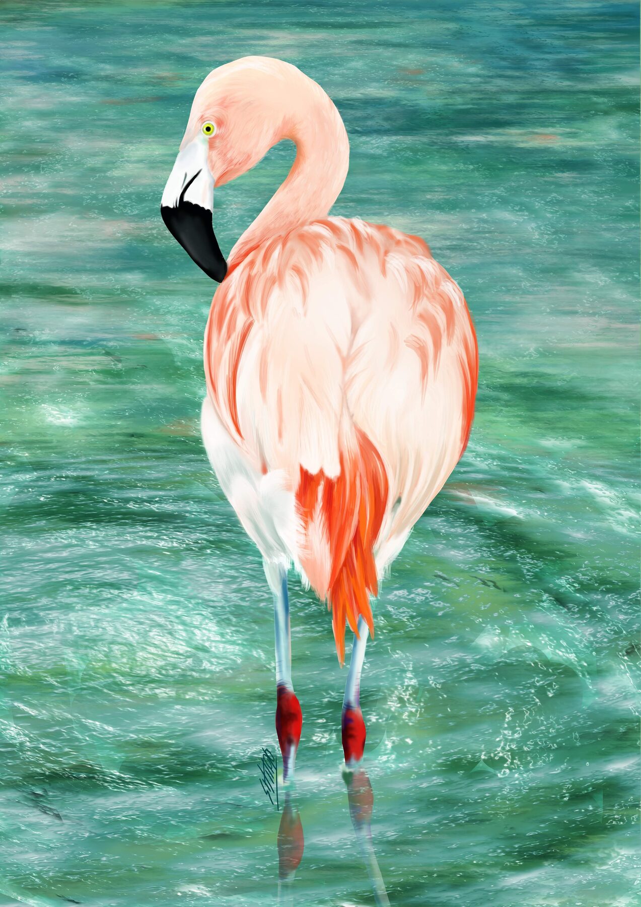 Digital wildlife illustration of a flamingo standing in water