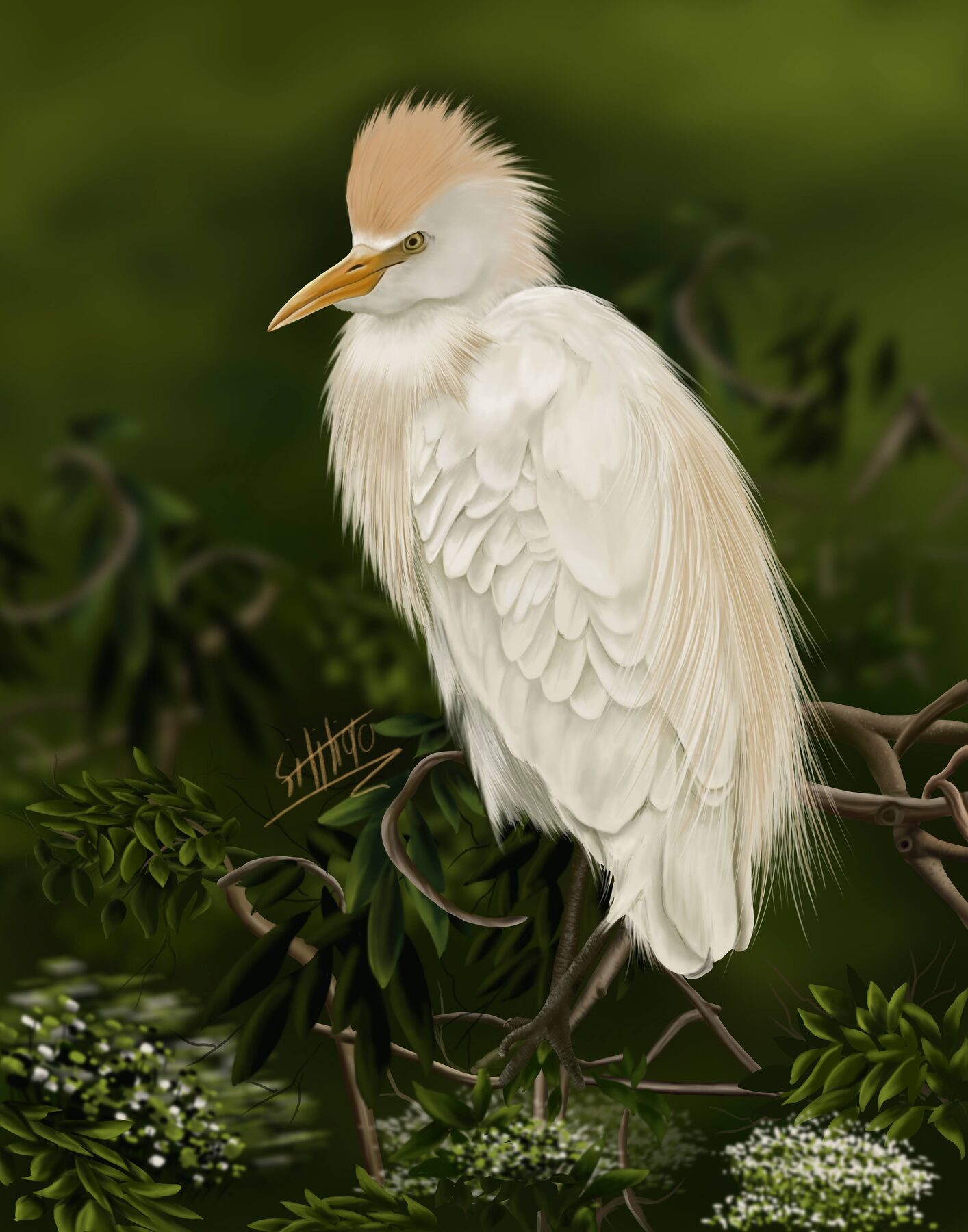 Digital wildlife illustration of a white egret
