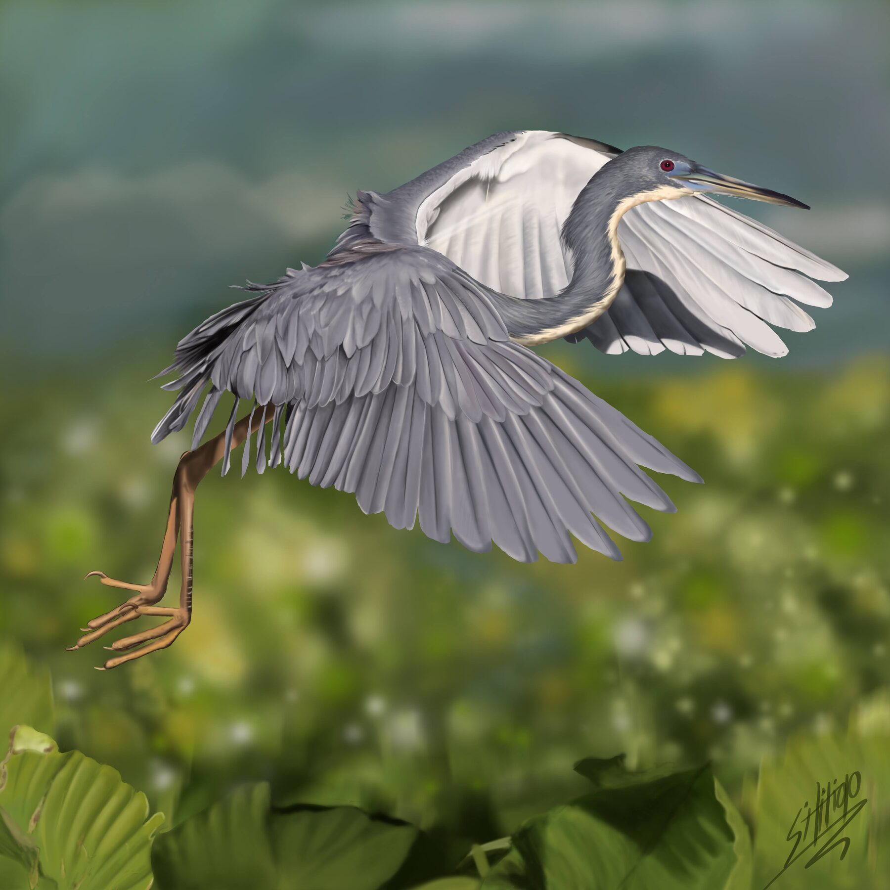 Digital illustration of a heron in flight
