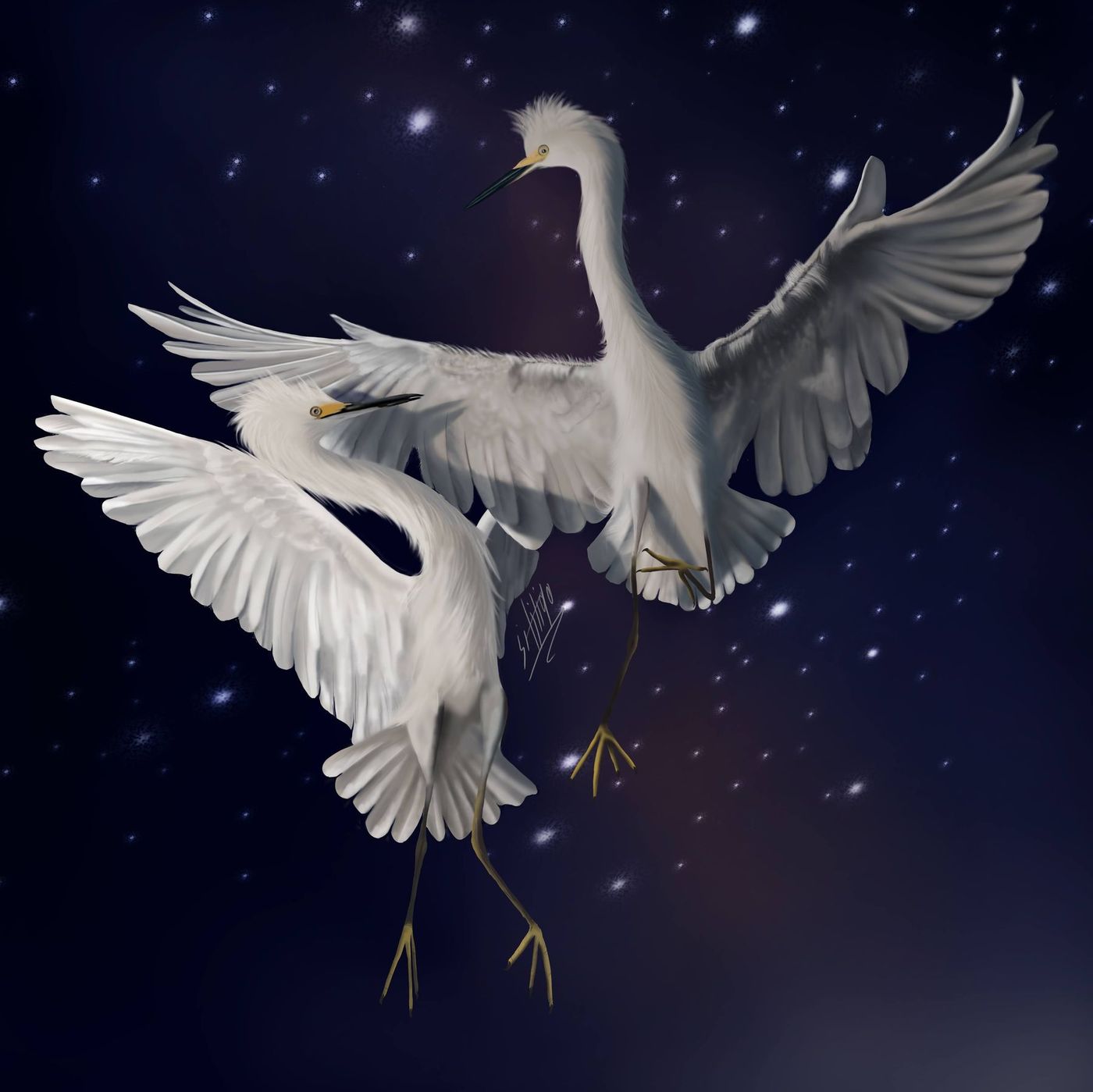Digital wildlife and environment painting